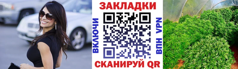 Какие есть наркотики Гурьевск АМФЕТАМИН  Канабис  Меф  ГАШ  КОКАИН 