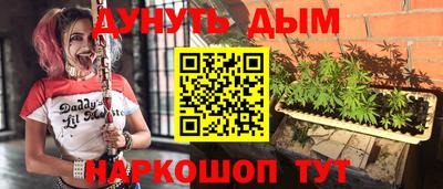 стафф Бийск