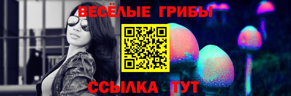 Галлюциногенные грибы Гурьевск