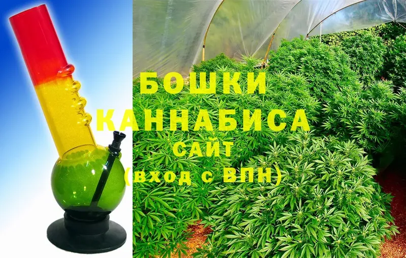 Бошки Шишки SATIVA & INDICA  Гурьевск 